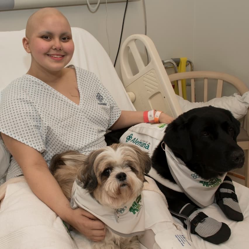 Nachita acompañada por perros de asistencia durante su tratamiento